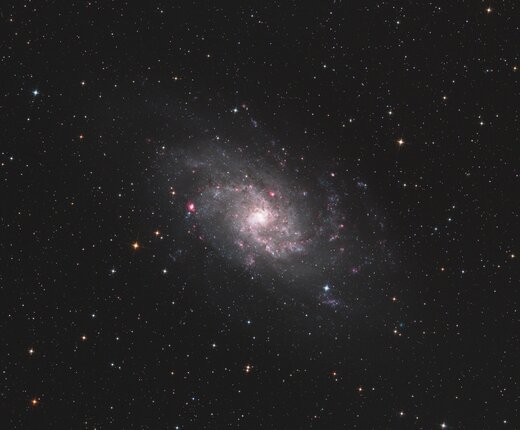 M33