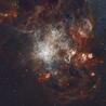 Tarantel Nebel (NGC 2070)